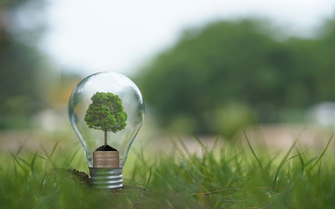 Promoting Environmental Awareness in Utility Services